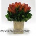 Darby Home Co Protea Floral Centerpiece in Wooden Mini Square Planter with Inset Natural BVZ1211